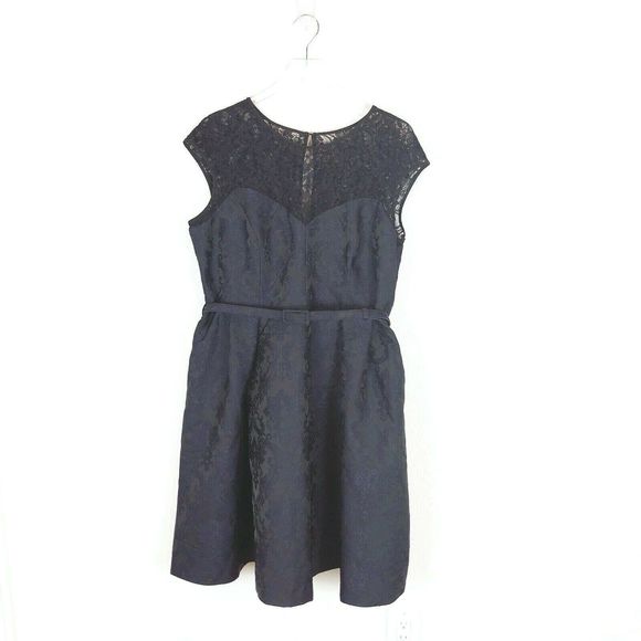 City Chic Dresses & Skirts - City Chic Blue/Black Damask And Lace Dress Sz 18